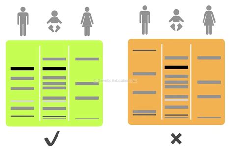 The Paternity Question: Genetic Testing and its Consequences