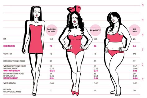 The Perfect Figure: Elena Cole's Body Measurements