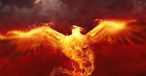 The Phoenix in Different Cultures: A Journey Across Time