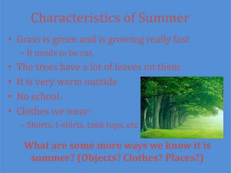 The Physical Characteristics of Summer Leigh