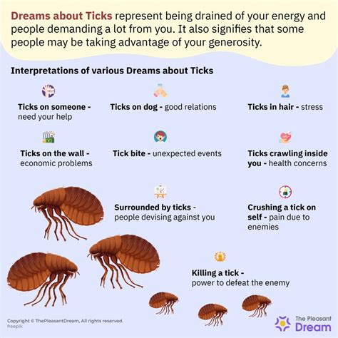 The Physical Expression: Ticks in Dreams and Our Well-being