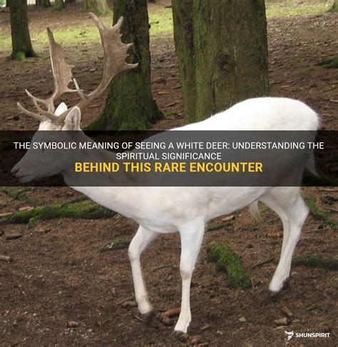 The Possible Psychological Significance of Dreaming about Encountering Deer