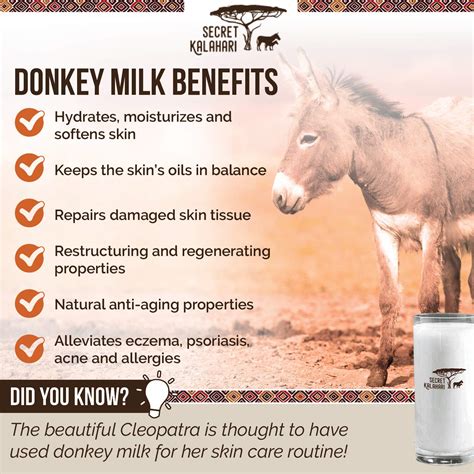 The Potential Advantages of Consuming Donkey Milk