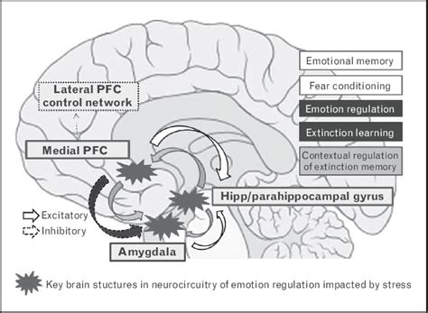 The Potential Role of Fear, Anxiety, and Control in Dreams about Blood Transfusions