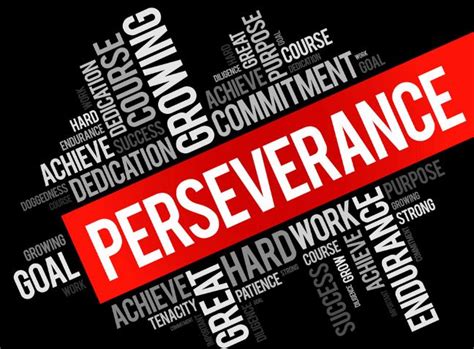 The Power of Perseverance