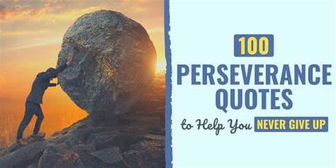 The Power of Perseverance: Cultivating a Vision Amidst Obstacles