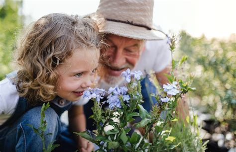 The Power of Scent: How Cafeteria Odors Unleash Memories from Childhood