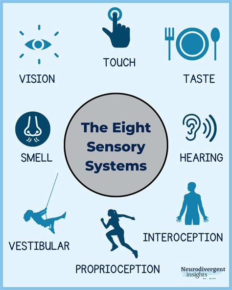 The Power of Touch: Understanding Sensory Dreams