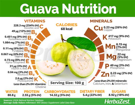 The Powerhouse of Vitamins and Minerals: Guava's Nutritional Profile