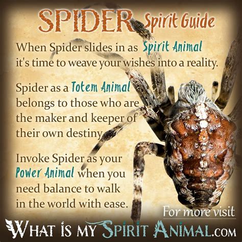 The Profound Meaning Behind the Ancient Symbolism of Spiders in Fantasies