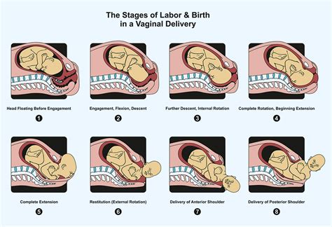 The Profound Significance of Dreams in the Process of Labor and Giving Birth