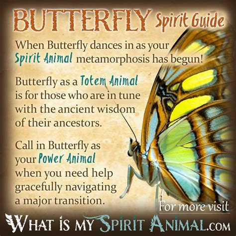 The Profound Spiritual Meaning of Receiving a Butterfly in One's Dream