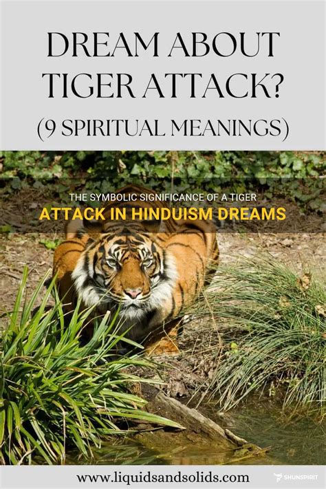 The Profound Symbolic Significance of Tiger Attacks in Dreams