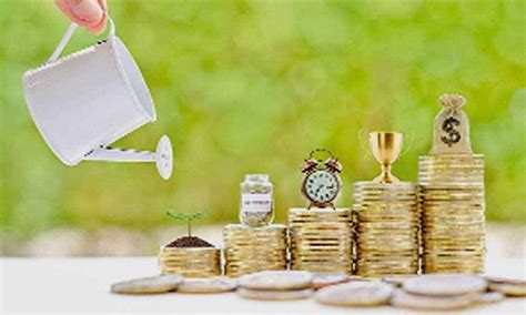 The Prosperity of Ranji: Understanding Wealth Accumulation