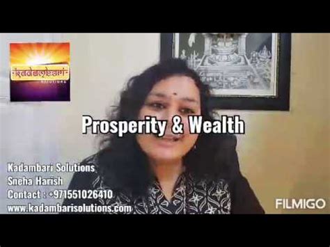 The Prosperity of Sneha Verma: Wealth Assessment