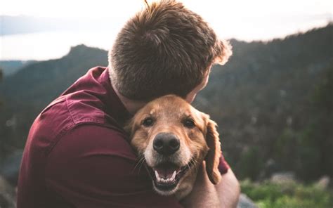 The Psychological Benefits of Having a Canine Companion