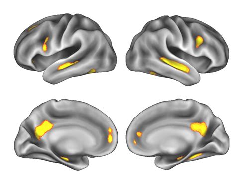 The Psychological Factors Behind Experiencing Unfaithfulness in the Mind during Pregnancy