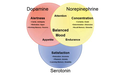 The Psychological Factors Influencing the Desire for Submission