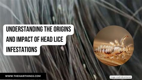 The Psychological Impact: Addressing the Emotional Consequences of Head Lice Infestations