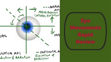 The Psychological Impact of Rapid Vertical Movement