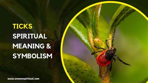 The Psychological Insight: Tick Symbolism and Meaning