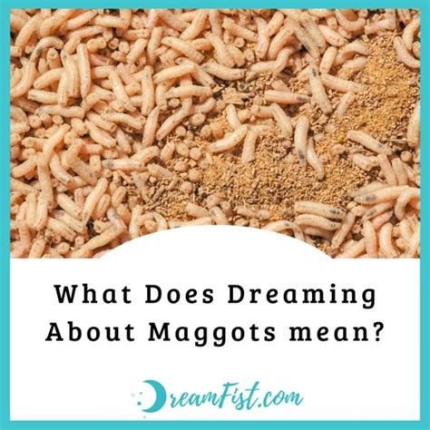 The Psychological Insights Behind Dreams of Maggots in Food