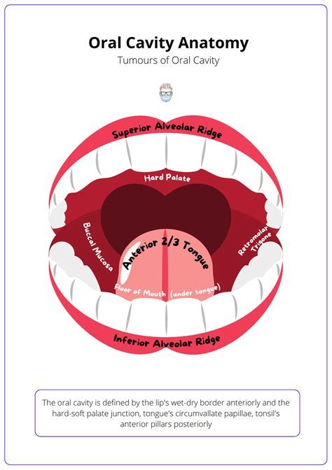 The Psychological Interpretation Behind the Enigmatic Presence of a Crimson Oral Cavity