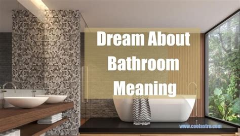 The Psychological Interpretation of Bathroom Dreams