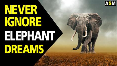 The Psychological Interpretation of Dreams Involving Elephantback Travel