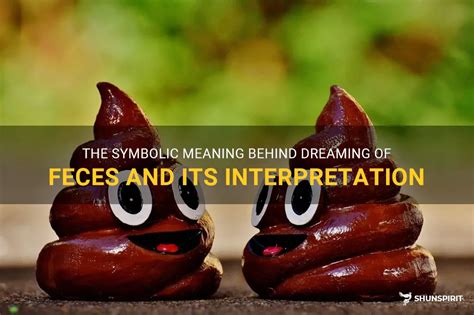 The Psychological Interpretation of Excrement Dreams