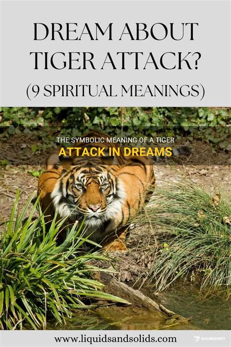 The Psychological Meaning of Dreams Involving Tigers