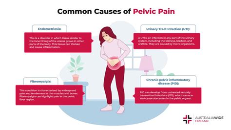 The Psychological Significance of Discomfort in the Pelvic Region during Dreaming