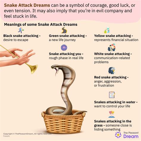 The Psychological Significance of Dreaming about Fatal Serpent Attacks