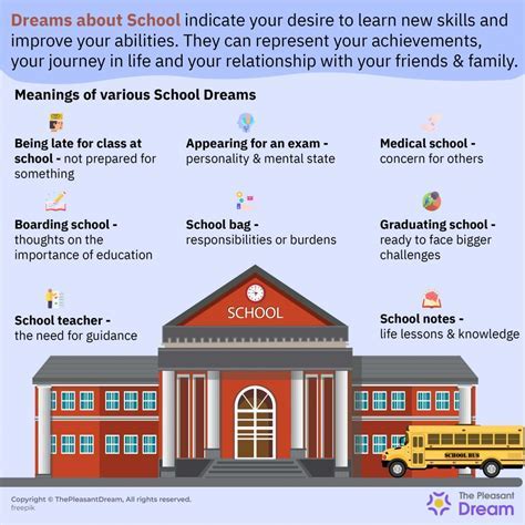 The Psychological Significance of Elementary School Dreams: A Deeper Understanding