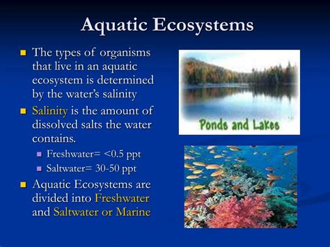 The Psychological Significance of Feeling Constrained by Aquatic Environments