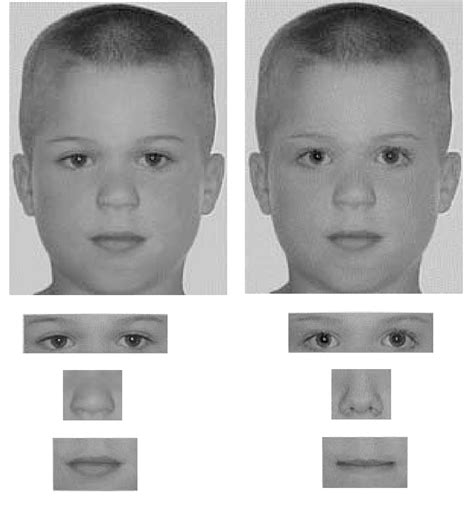 The Psychology Behind Infantile Facial Features in Dreams: Insights from Specialists