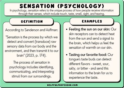 The Psychology of Sensation: Exploring the Power of Touch