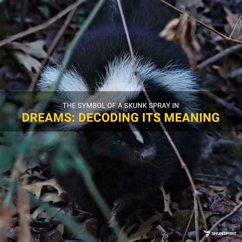 The Pungent Message: Decoding the Significance of the Skunk's Odor