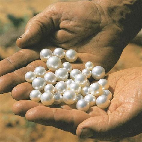 The Pursuit Begins: Where and How to Search for Natural Pearls