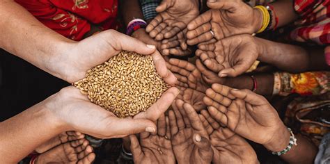 The Pursuit of Food Security: Can Endless Nourishment Solve the Global Hunger Crisis?