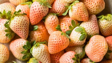 The Puzzle and Fascination of Pale Strawberries