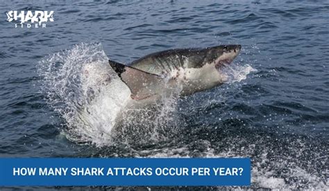 The Real Threat: Understanding the Statistics of Shark Attacks