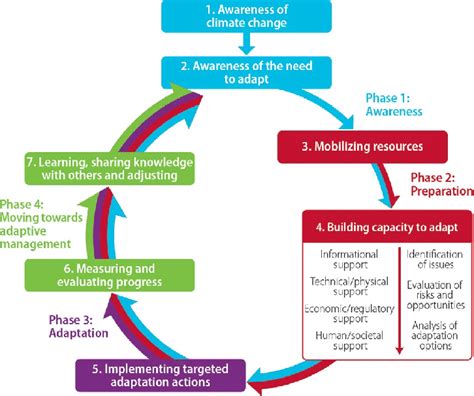 The Recovery and Adaptation Phase: Embracing the New Chapter