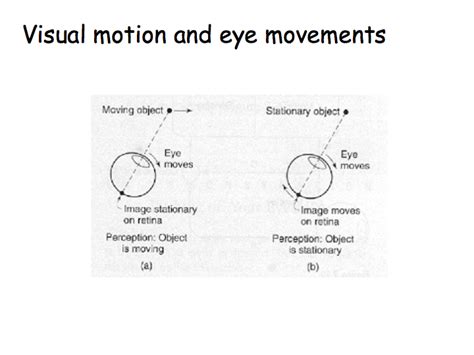 The Relationship Between Ambulatory Motion and Perception in the World of Dreams