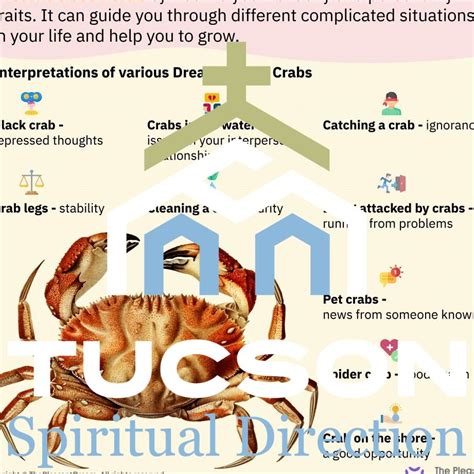 The Relationship Between the Crab's Behavior and Dream Decoding