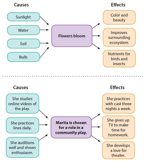 The Relationship between Cause and Effect in Societal Issues and Consequences