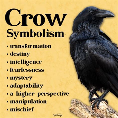 The Representation of Crows in Dreams: Symbolism and Importance