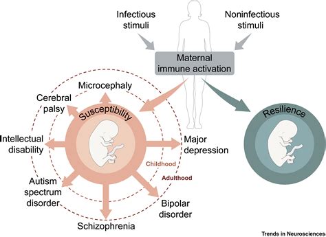 The Resilience and Fragility of a Maternal Vision