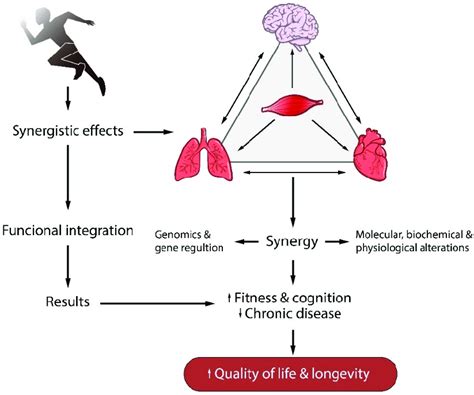 The Revealing Effects of Bodily Interactions