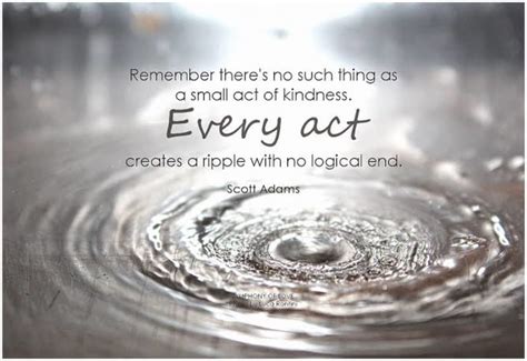 The Ripple Effect: How One Act of Benevolence Can Inspire Many